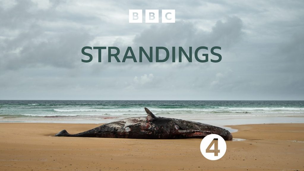 Cover Artwork Strandings BBC