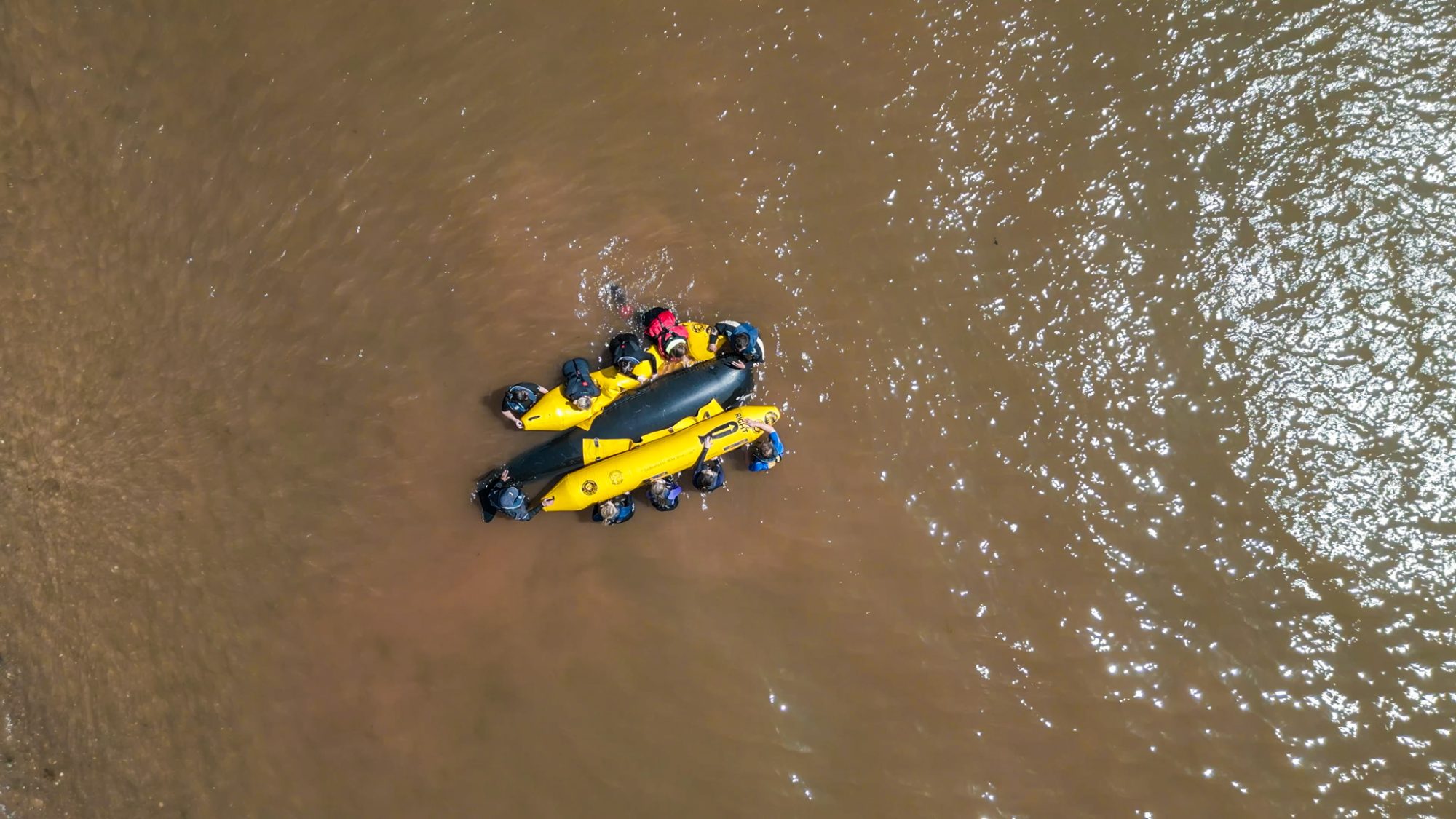 Whale rescue Sound and Bones